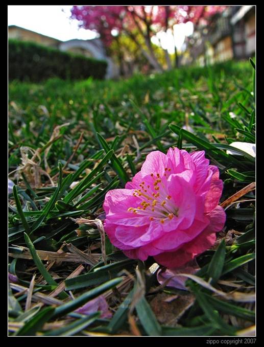 [ת��]����Ĺ�Ȧ��ʲô��˼��