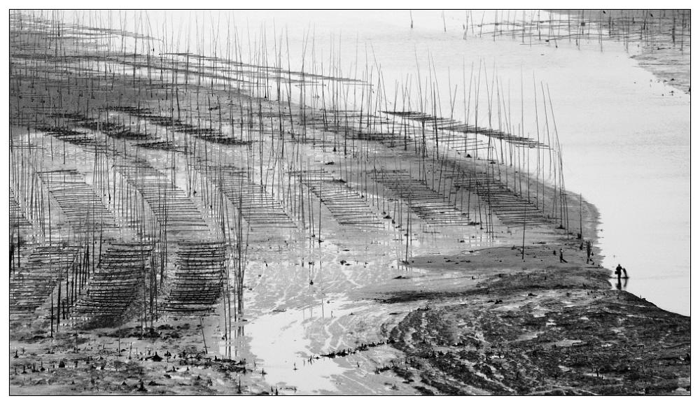 ����ϼ��