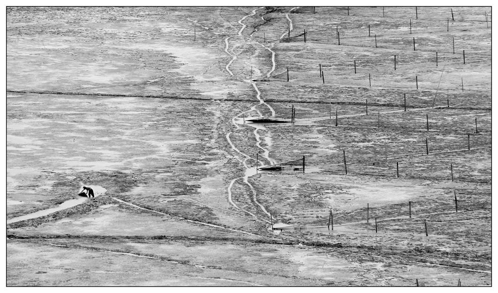 ����ϼ��