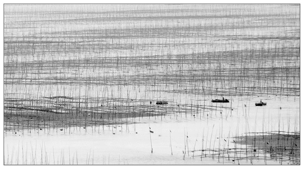 ����ϼ��