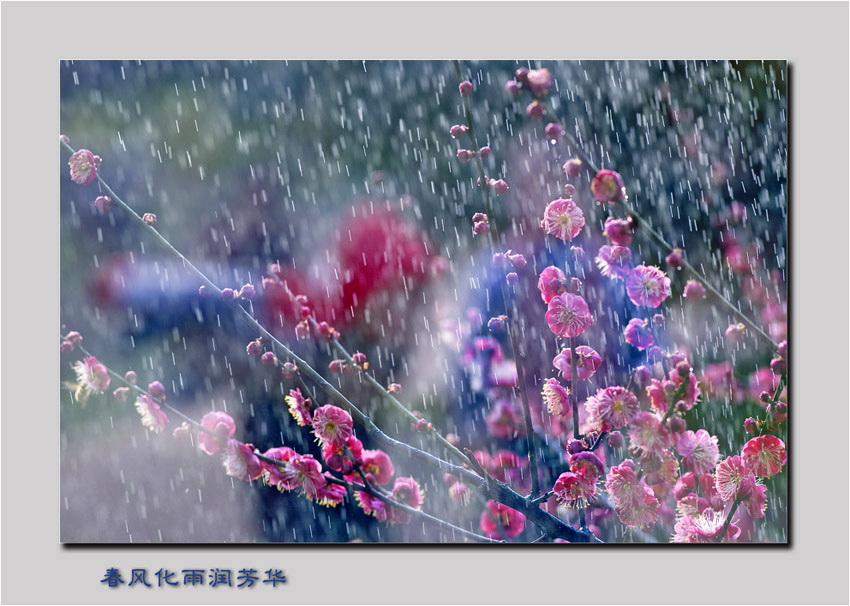 []2009ͼƬ2Ʒ