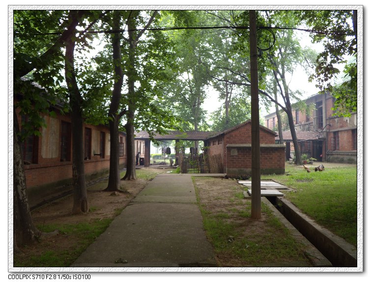 �Ͼ���̨ɽ������