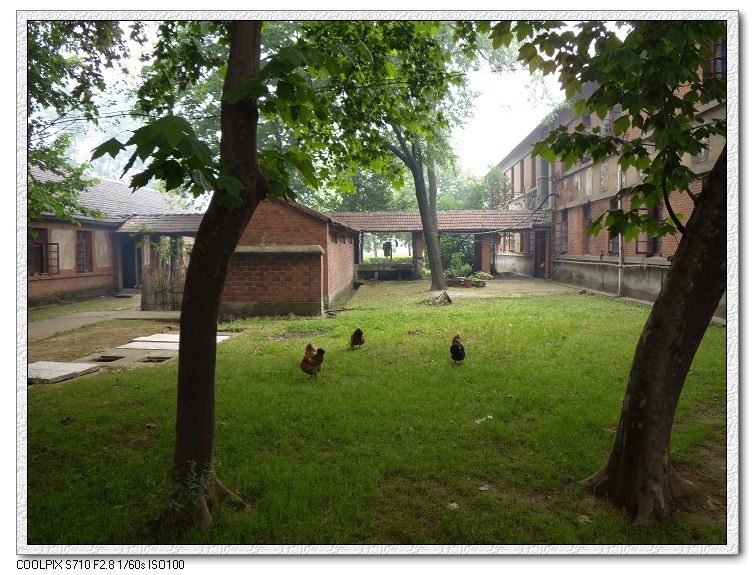 �Ͼ���̨ɽ������