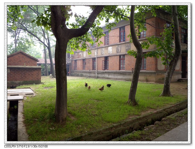 �Ͼ���̨ɽ������