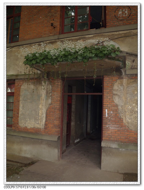 �Ͼ���̨ɽ������