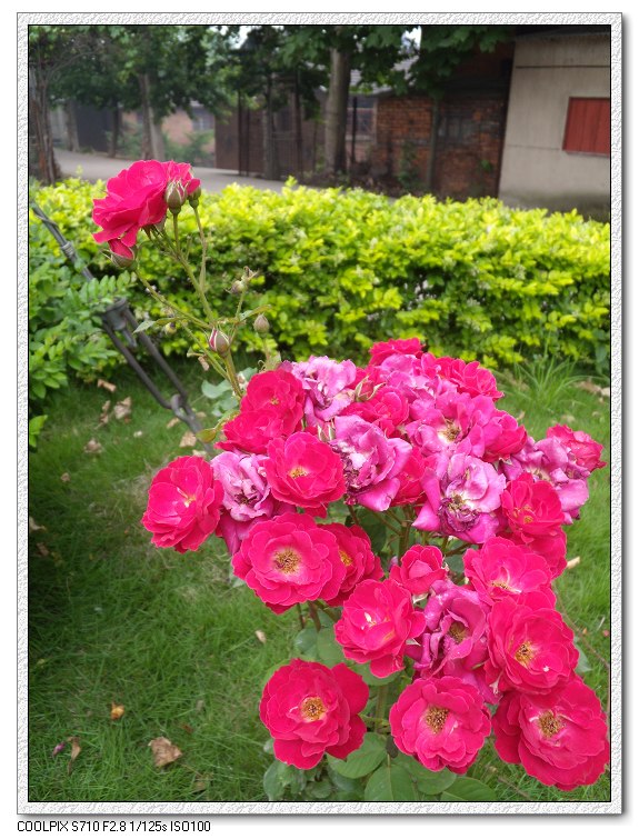 �Ͼ���̨ɽ������