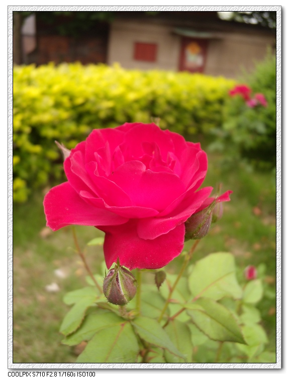 �Ͼ���̨ɽ������