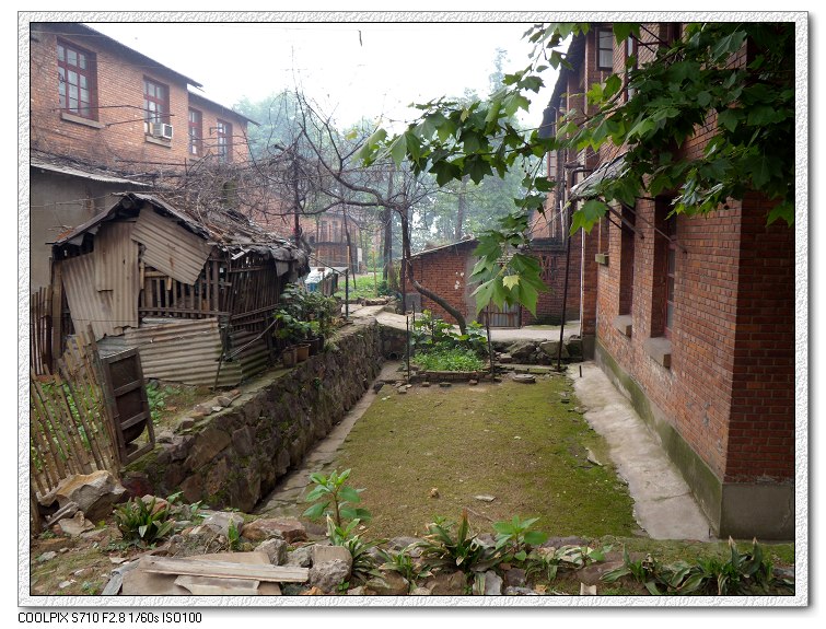 �Ͼ���̨ɽ������