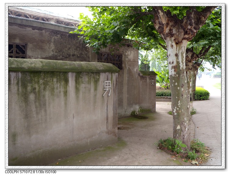 �Ͼ���̨ɽ������