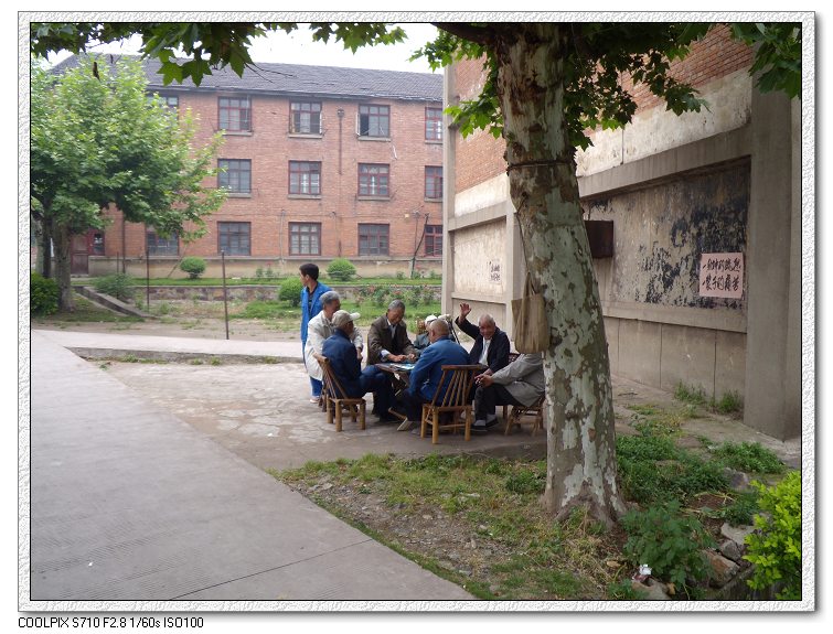 �Ͼ���̨ɽ������