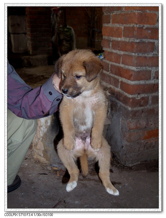 �Ͼ���̨ɽ������