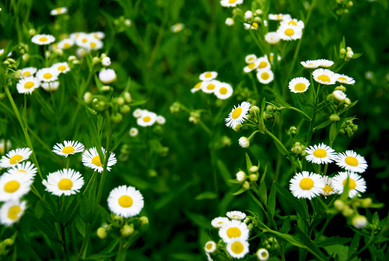 �Ͼ���̨ɽ������