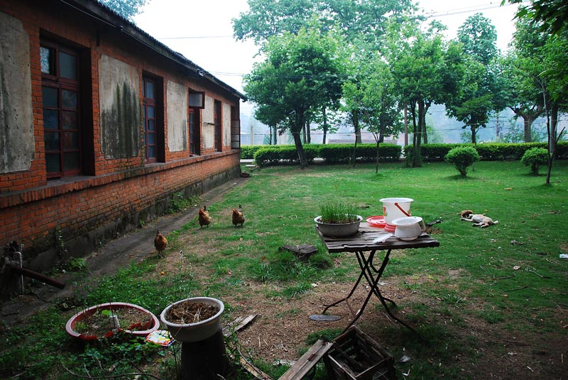 �Ͼ���̨ɽ������