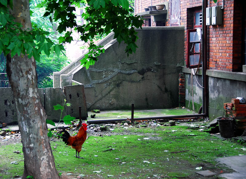 �Ͼ���̨ɽ������