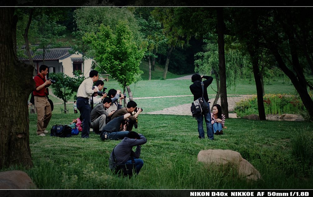 �����죬���ˣ��ǹ���ר�⻨��