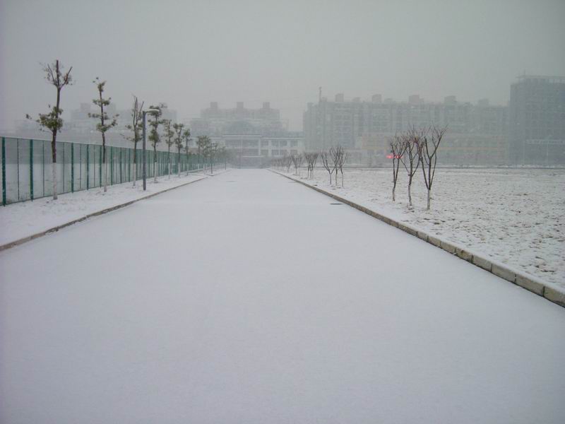 С DSCF8373.JPG