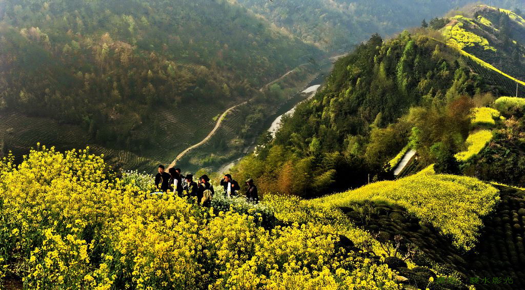 3.19��2011����ɽ����֮�С� 252��.jpg