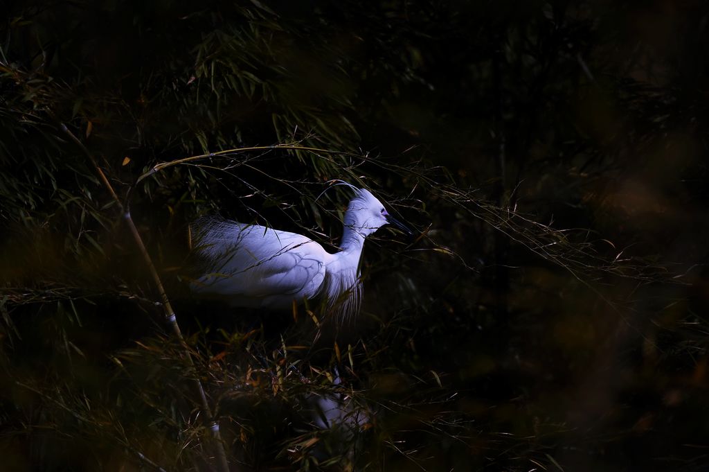 2011.4.20�����ء� 813.jpg