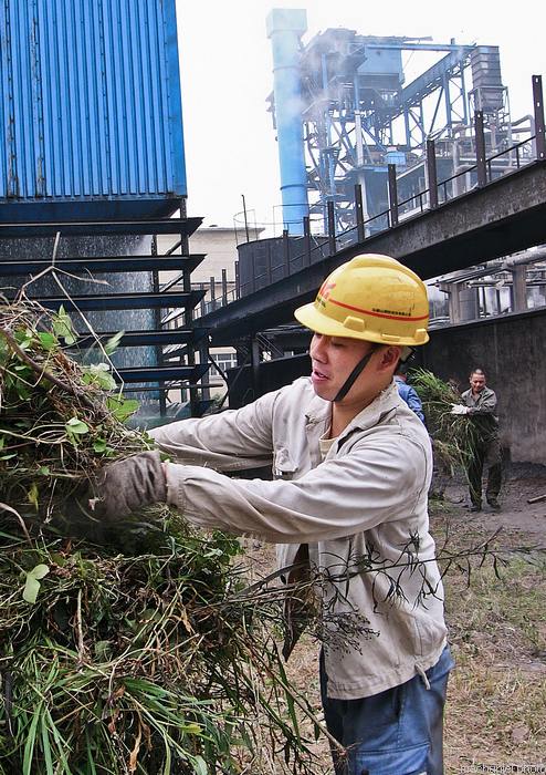 ���� (101).jpg