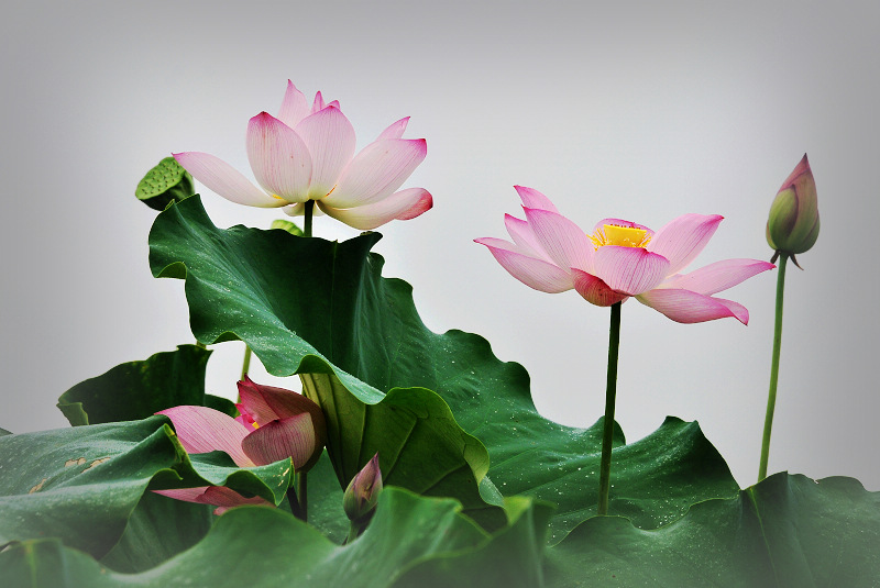 涷