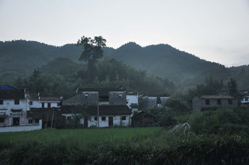 DSC_0866.jpg