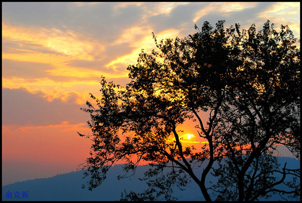 DSC_0530_conew1.jpg