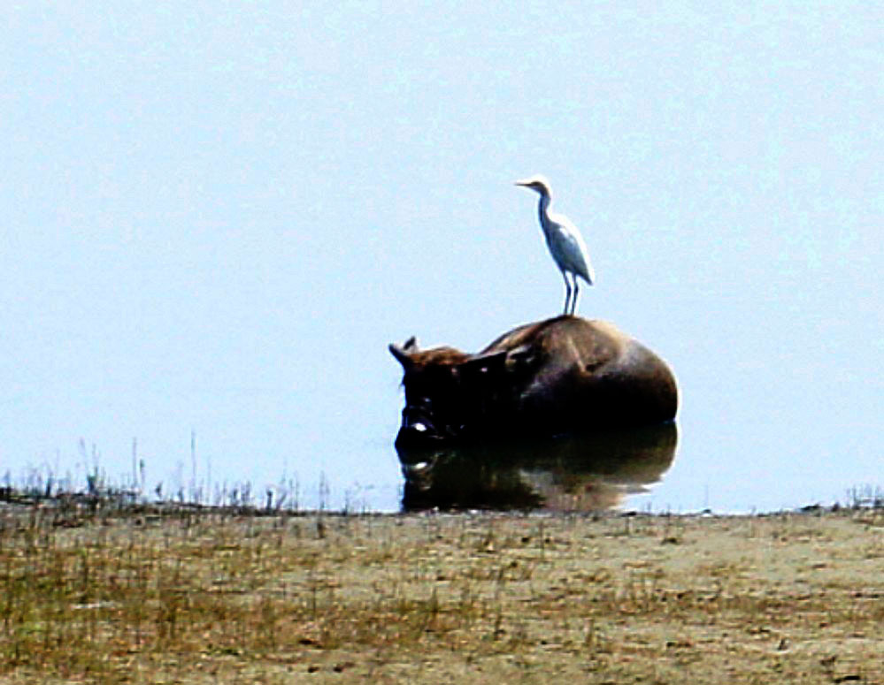_DSC6137_conew2.JPG