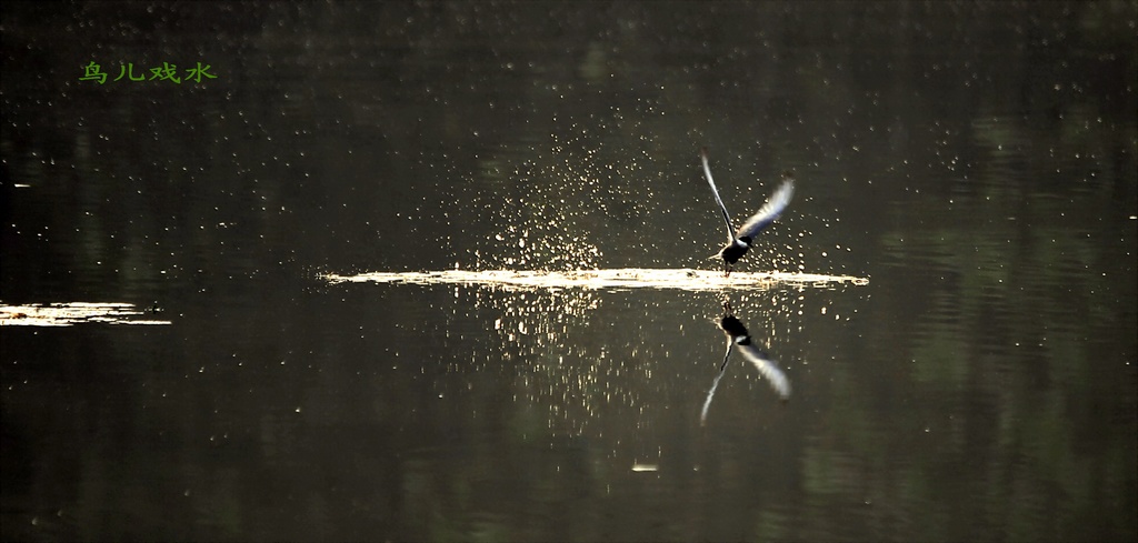 4Ϸˮ_DSC4730.jpg