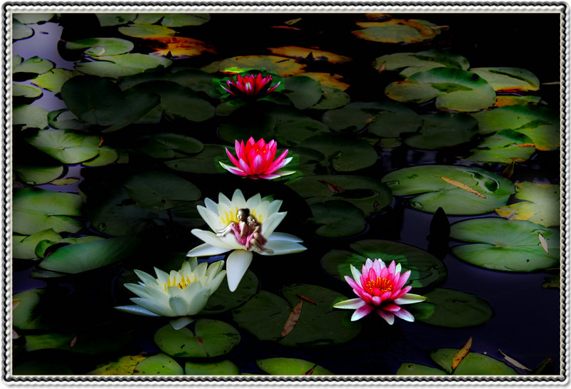 DSC01961_conew2.jpg