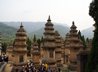 DSC08063.JPG