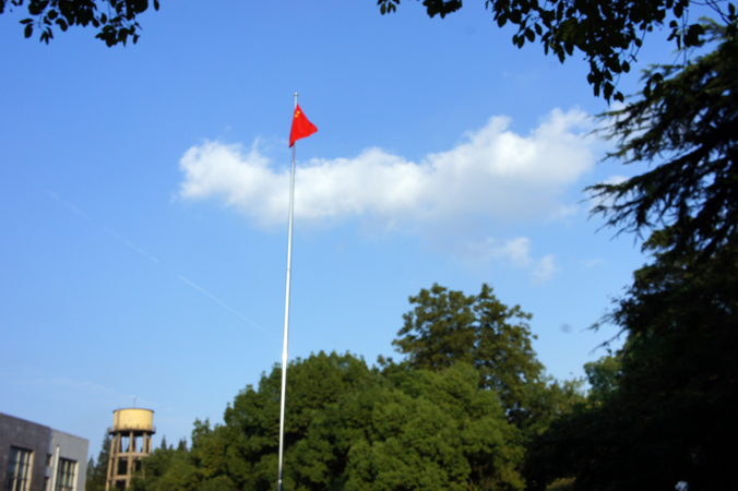 DSC01806.JPG