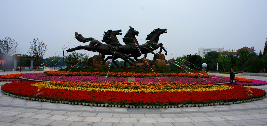DSC00319.JPG