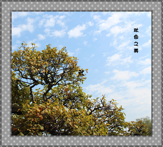 ɫ֮