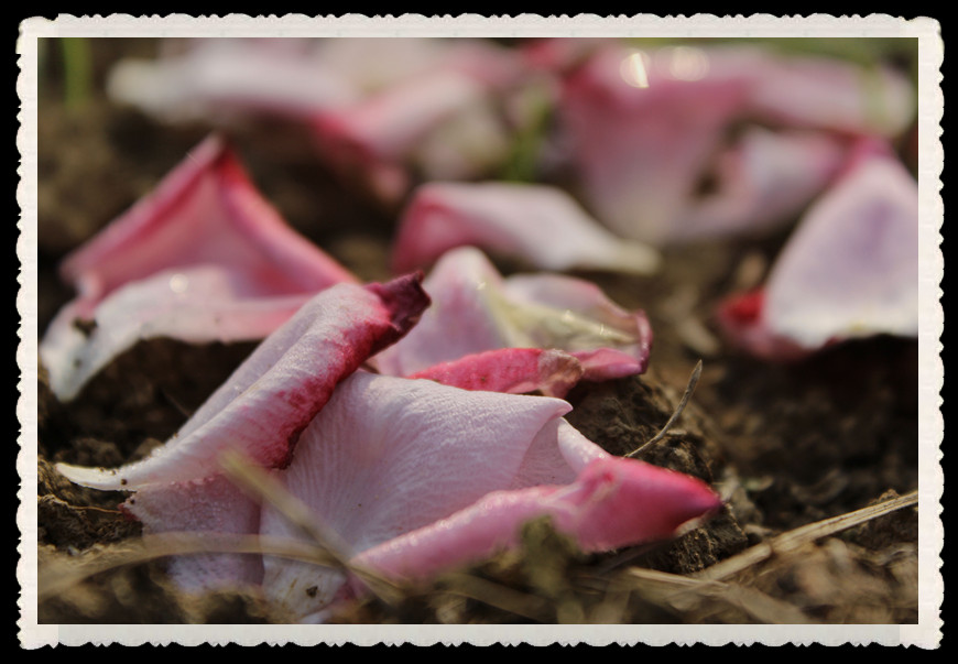 Ƭ 095-1_.jpg