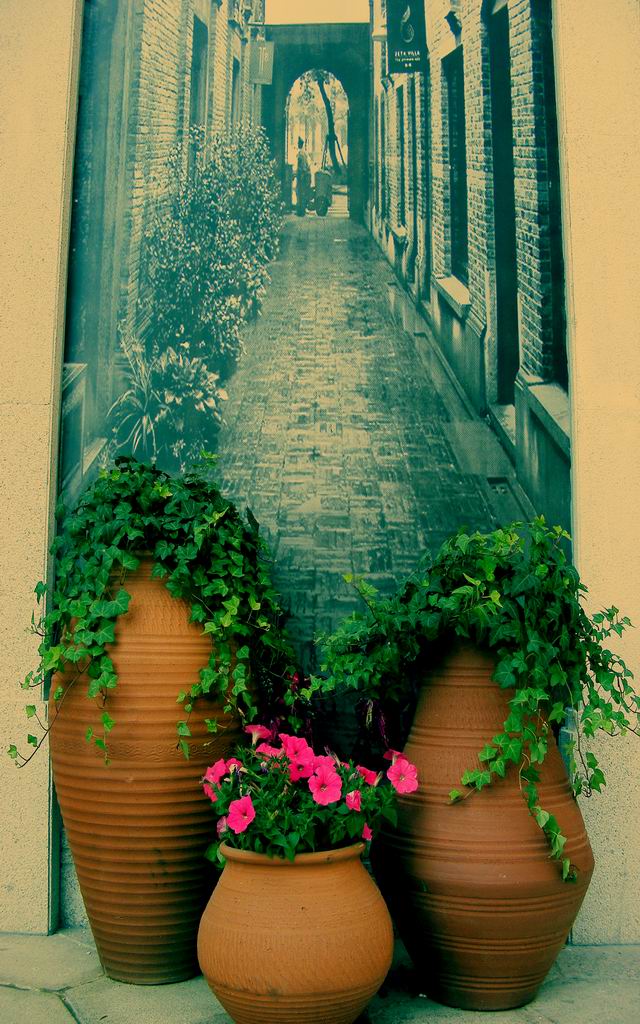 DSCF0258.jpg