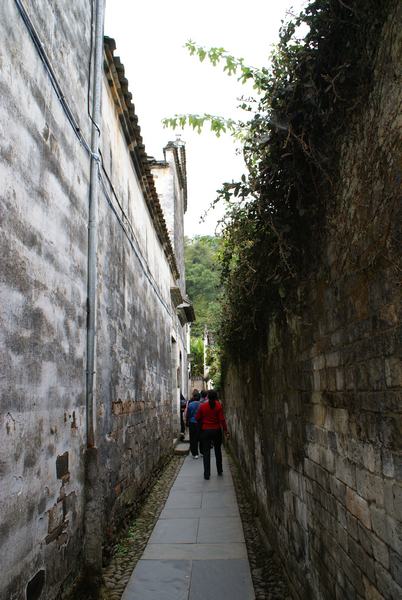 DSC01709.JPG