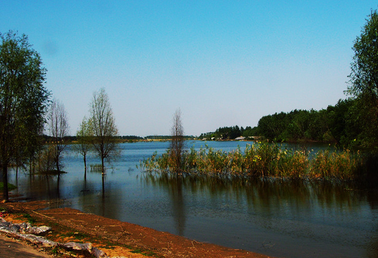 P1230712_.jpg
