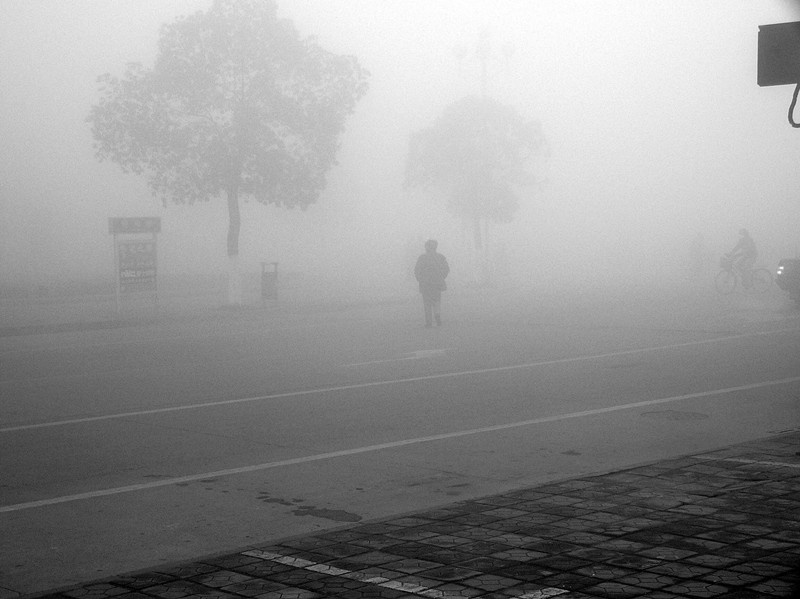 P1150260__.jpg