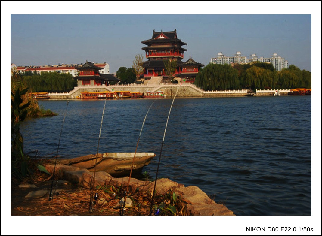 DSC_5671_conew1.JPG