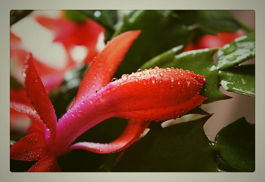Ƭ 011_.jpg