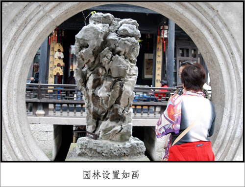 DSC_3424_conew1.jpg