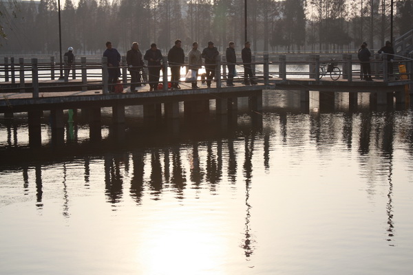 IMG_5333.jpg