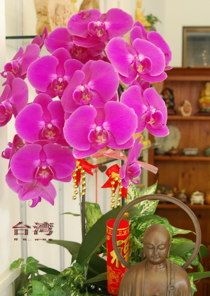 DSC_1061.jpg