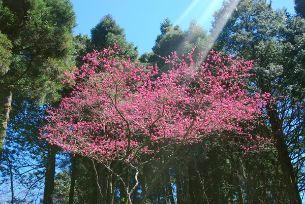 DSC_1948.jpg
