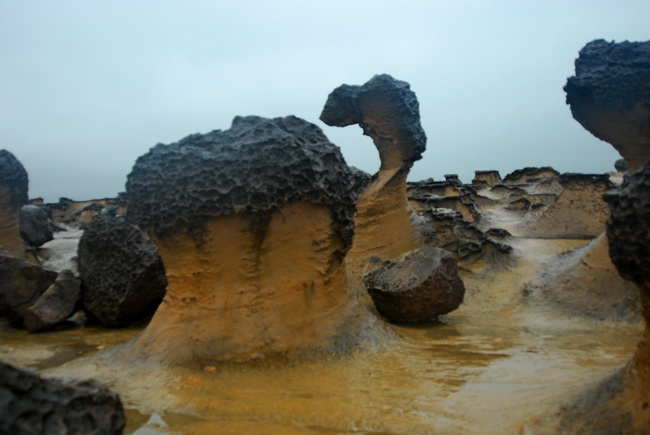 DSC_4355.jpg