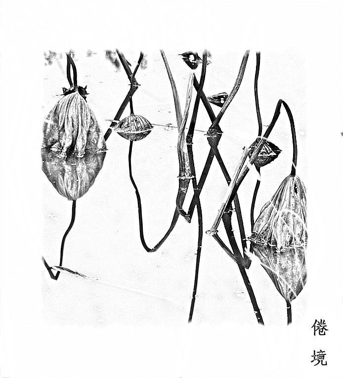 p1250897___.jpg