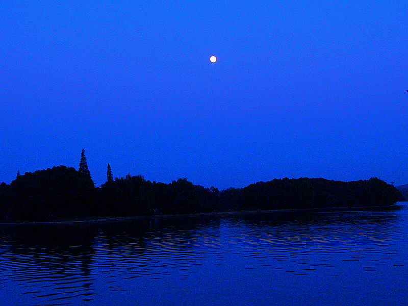 P1140684_.jpg