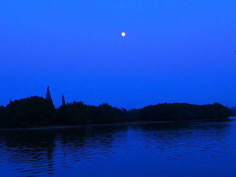 P1140684_.jpg