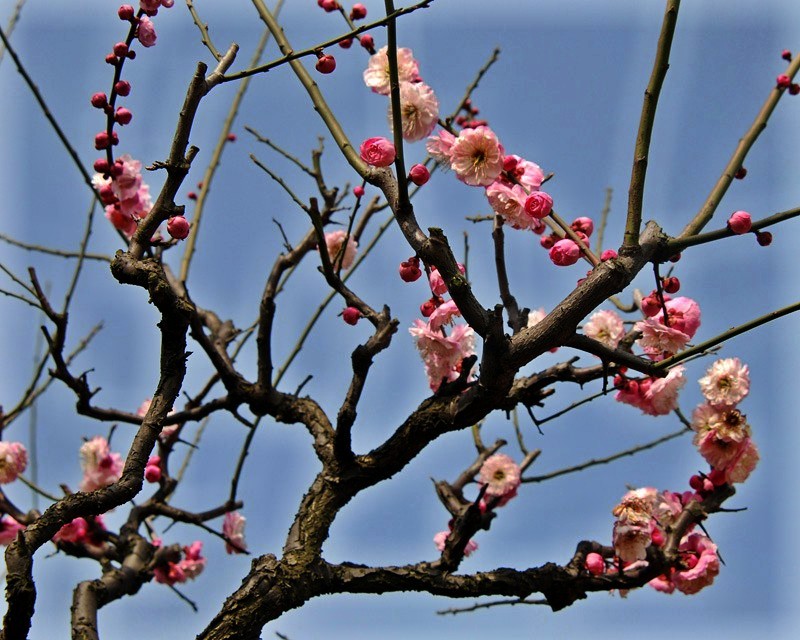 DSC_5583_conew2.jpg