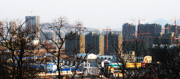 DSC_6216.jpg
